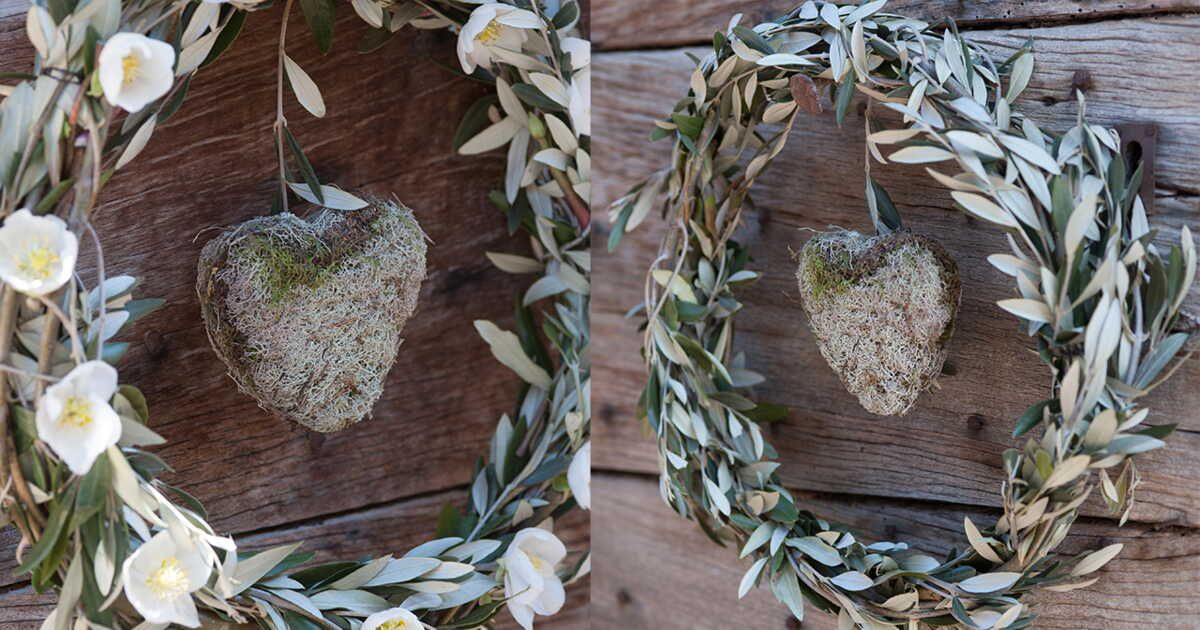 La symbolique éternelle de la couronne d'olivier