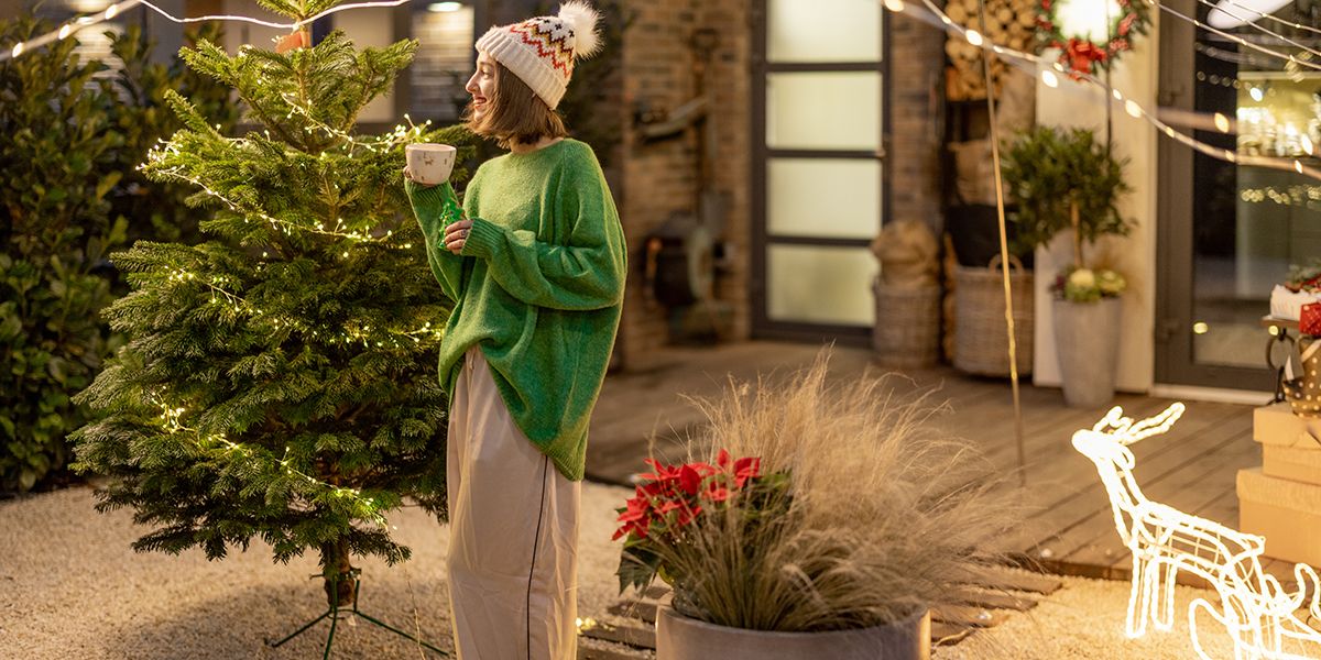 Dressez un sapin de Noël enchanteur dans votre jardin ou sur votre balcon
