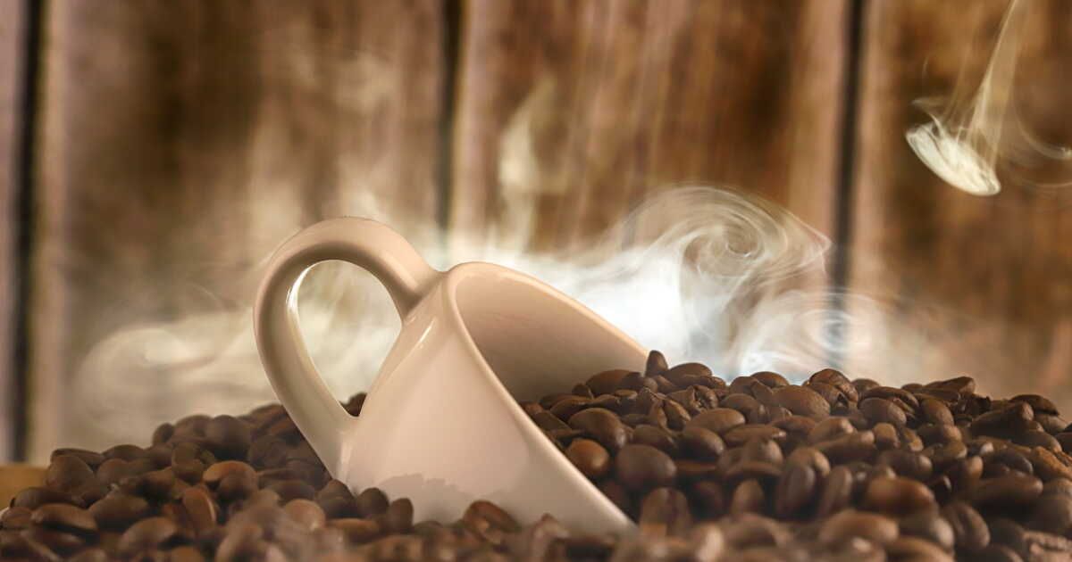Les secrets du café : comment choisir le bon grain