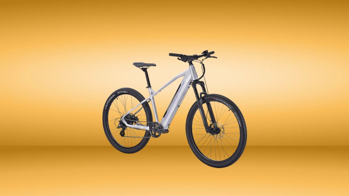 Une incroyable aubaine : dénichez un vélo électrique à 300 euros de moins chez Intersport