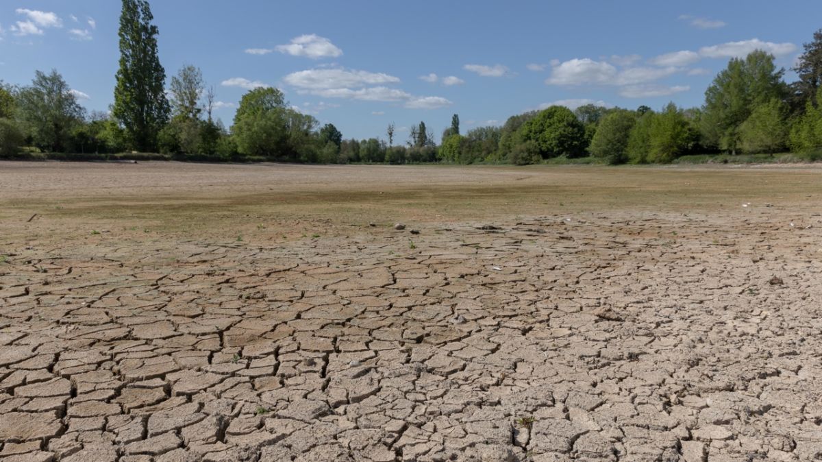 El Niño : un événement climatique aux conséquences imprévisibles