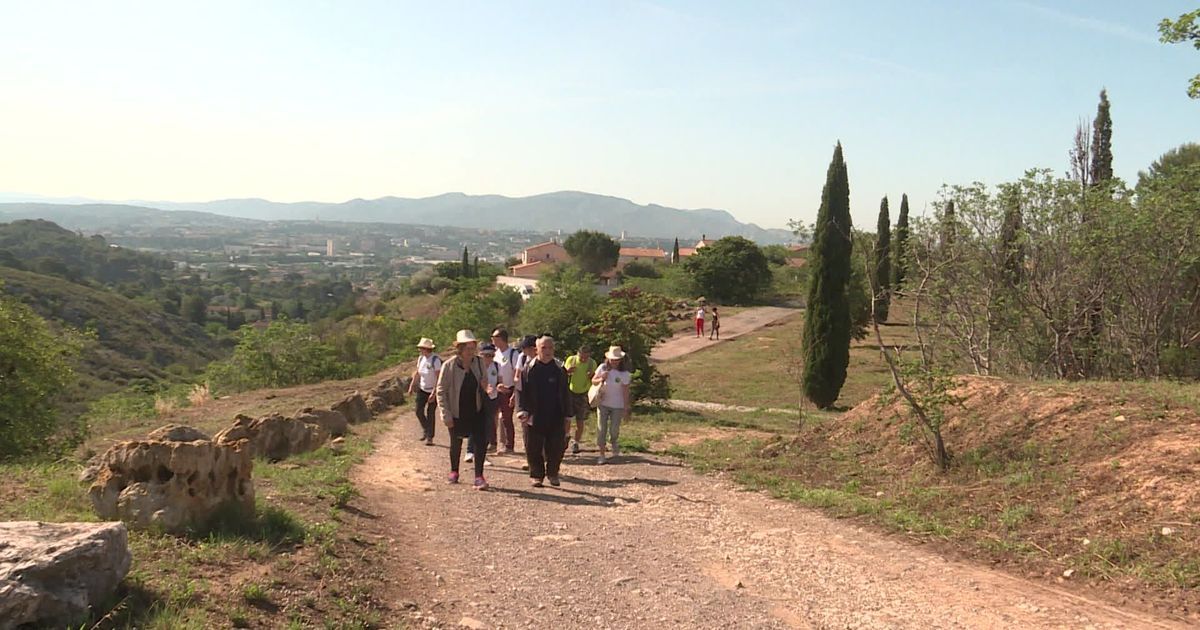 Un projet controversé effraie les habitants du Pic de l'Étoile à Marseille