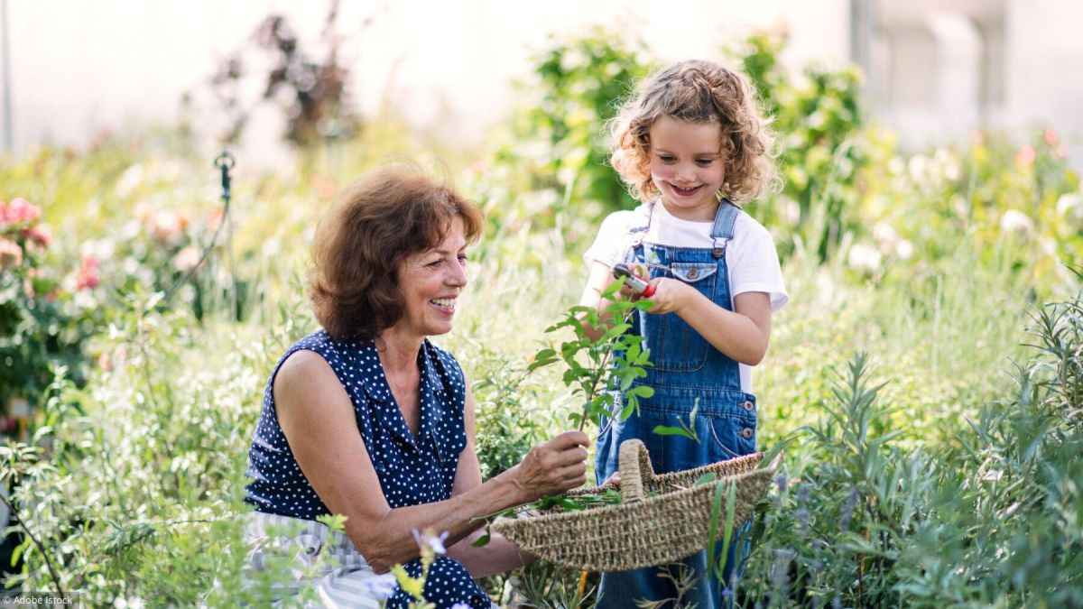 Les indispensables du jardin en juillet : guide pratique