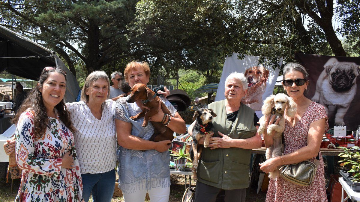 Le refuge Au Bonheur des 4 Pattes appelle à la responsabilité face à l'abandon des animaux