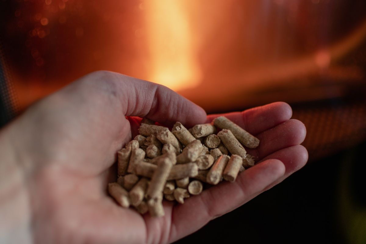 les secrets d'une combustion efficace : évitez ces erreurs courantes avec vos granulés de bois