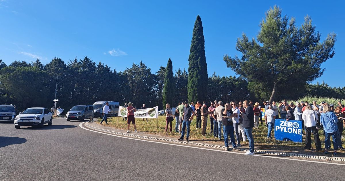 Des opposants unis contre un projet électrique géant à Arles