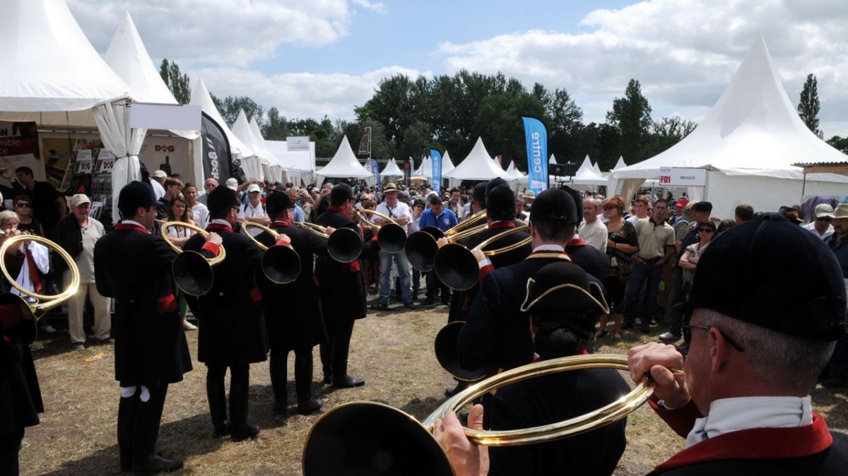 Sous le souffle des trompes : un défi musical au Game Fair de Lamotte-Beuvron