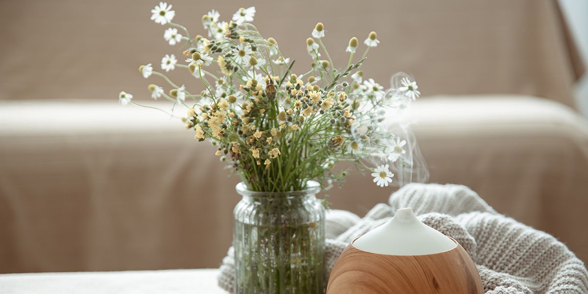 10 astuces naturelles pour une maison toujours fraîche