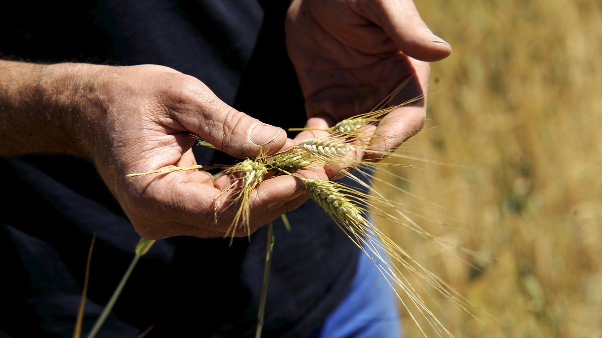 Les solutions pour une agriculture durable à Rodez : une rencontre essentielle