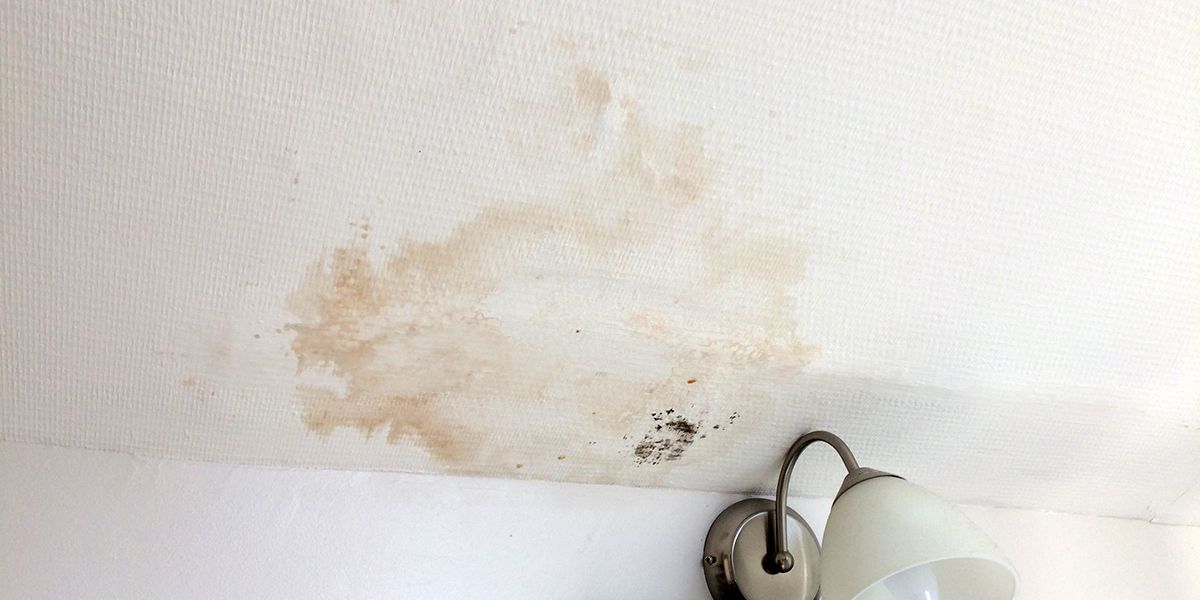 Guide pour vos travaux de peinture après un dégât des eaux
