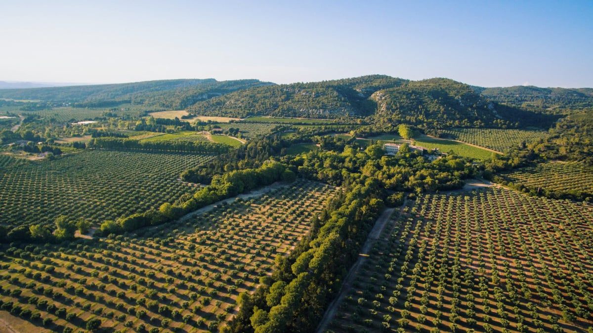 Estoublon : une renaissance au cœur des Alpilles