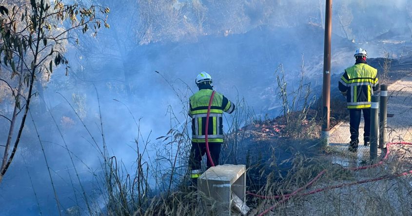 Incendie à La Ciotat : pompiers en action face au mistral