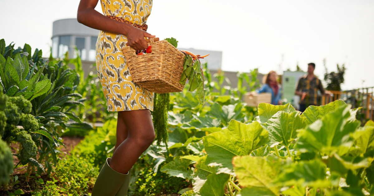 Jardiner en ville : 4 solutions inédites pour cultiver sans jardin