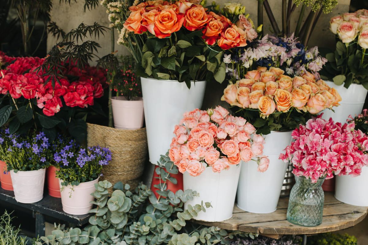 La fleur qui remplacera les roses pour vos déclarations d'amour