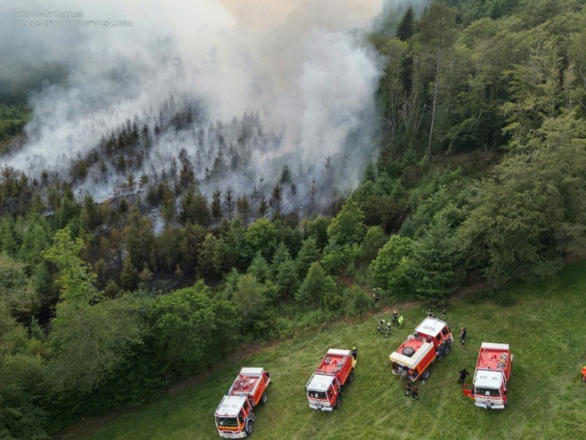 Bretagne : les pompiers s'engagent face à l'augmentation des feux de forêt