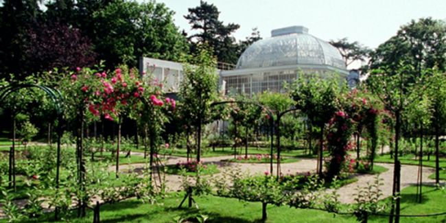 Jardins du Musée Albert-Kahn – Hauts-de-Seine (92)
