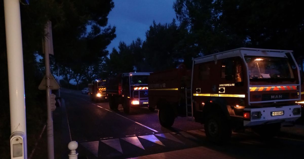 Incendie de végétation à Toulon : les pompiers déploient des moyens considérables
