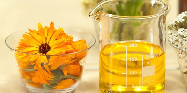 Le souci, la fleur miracle pour apaiser et cicatriser