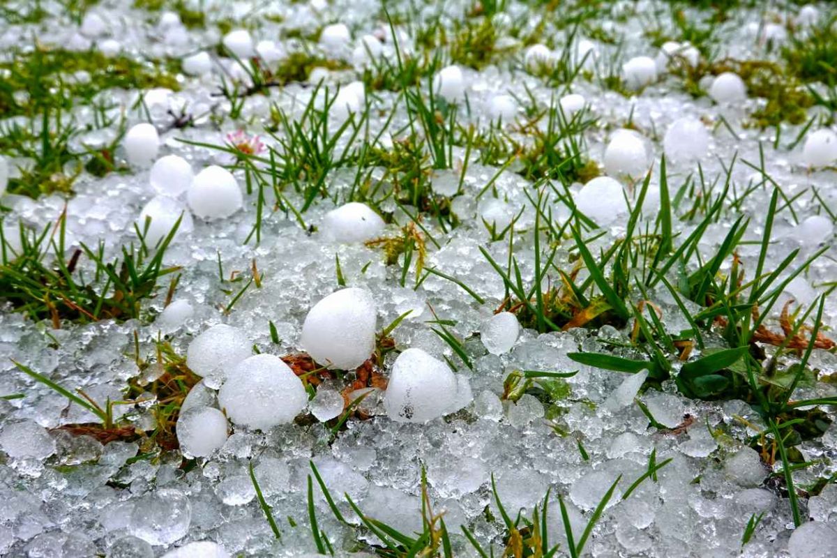 Préservez votre jardin des orages : astuces incontournables