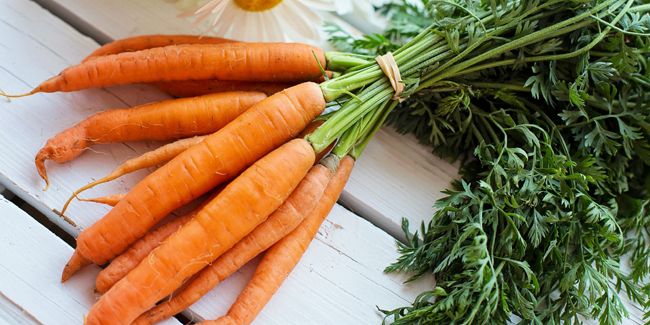 Que faire et comment utiliser les fanes de légumes ?