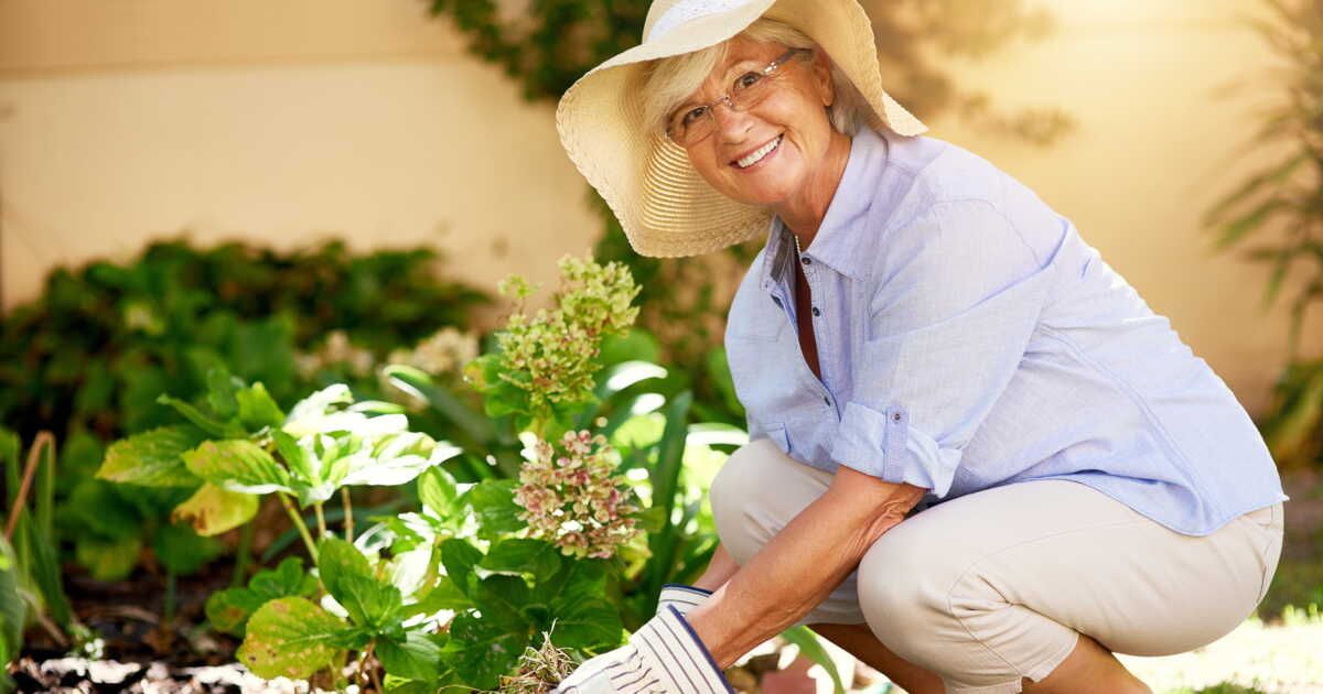 Comment se débarrasser des cochenilles farineuses sur mes plantes ?