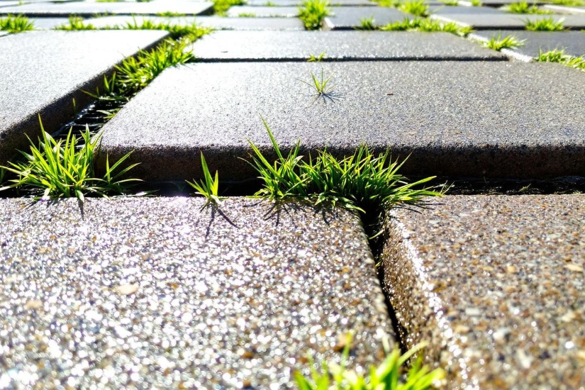 Dites adieu aux flaques : une solution innovante pour préserver votre jardin