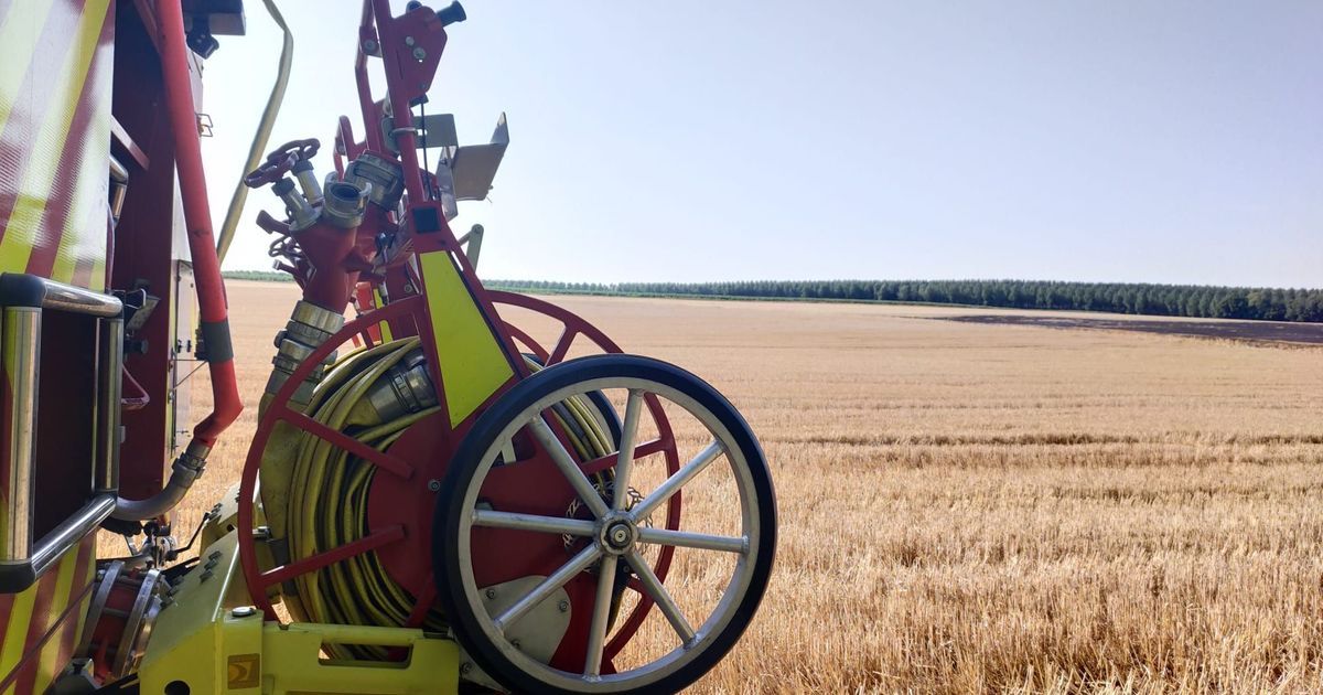 les pompiers en alerte face à la chaleur alors que les moissons avancent dans le poitou
