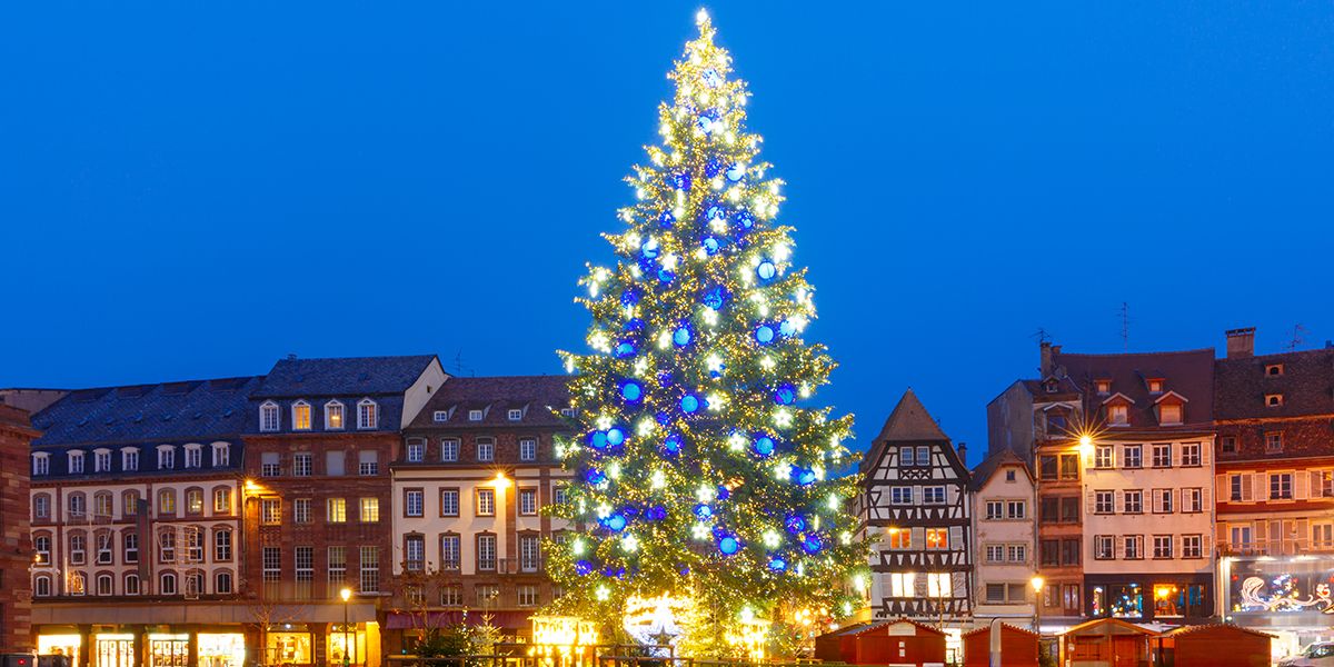 La magie du sapin de Noël : une tradition emblématique à travers les âges