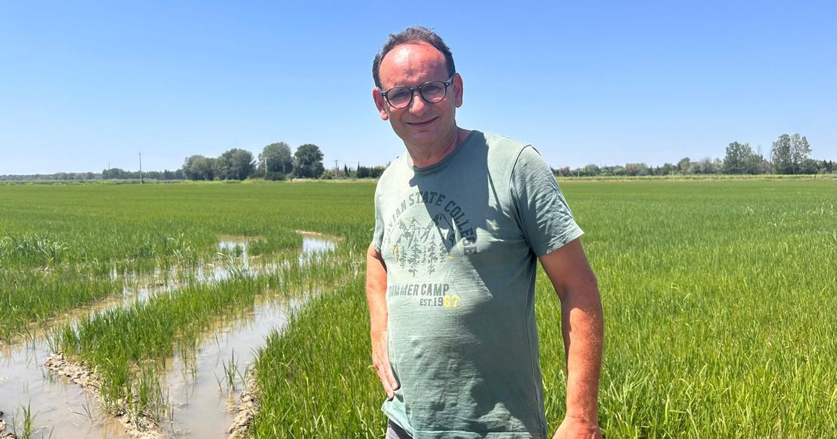 Camargue : la montée des pylônes de THT dans un paysage menacé