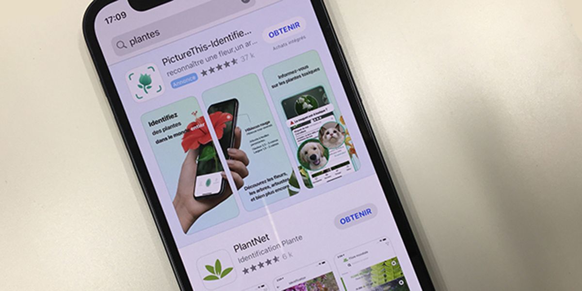 Les meilleures applications pour identifier fleurs et plantes en un clin d'œil