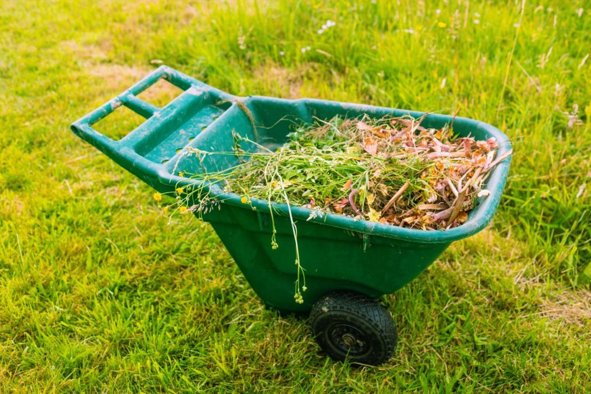 Transformez vos déchets verts en atouts pour le jardinage : les bénéfices du broyage