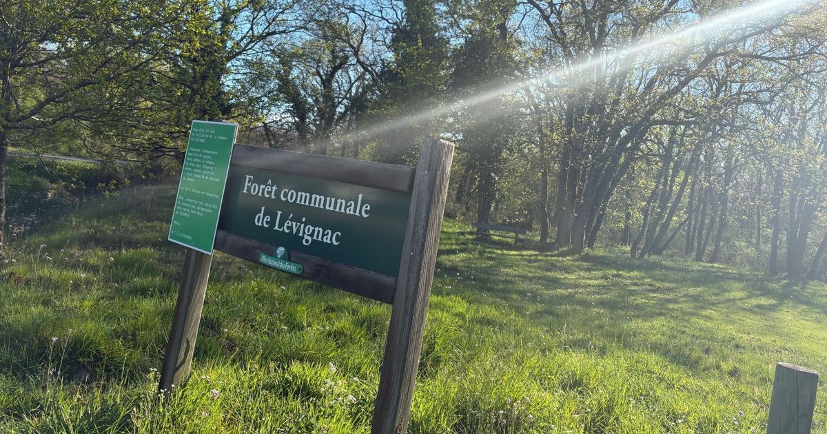 Haute-Garonne en alerte incendie : un jeudi sous tension