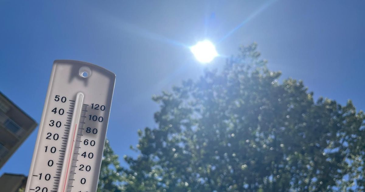 Vaucluse en vigilance orange : une canicule inédite frappe le département