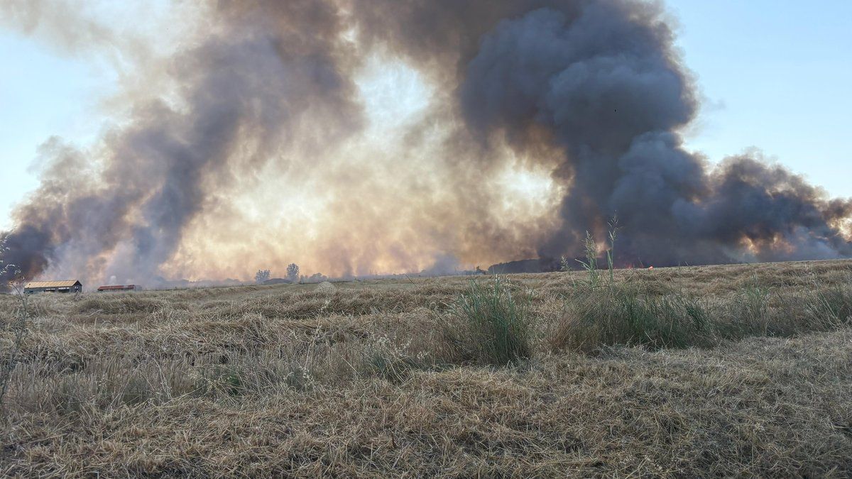 Incendie alarmant près de Toulouse : les pompiers en première ligne pour protéger les habitations
