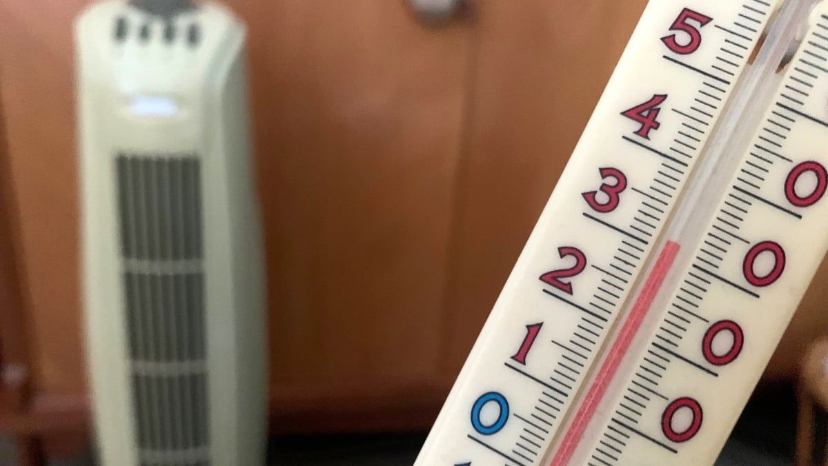 Canicule historique : la France confrontée à une crise sanitaire et scolaire