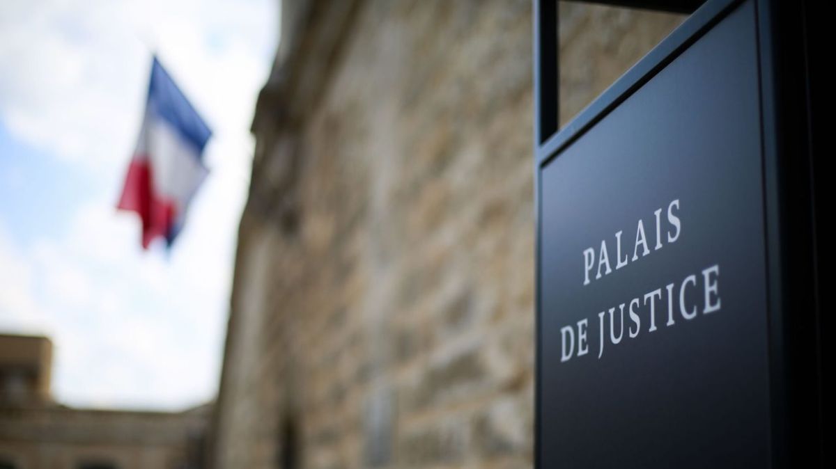 Quand un chien sauve son maître d'un cambriolage à Calais