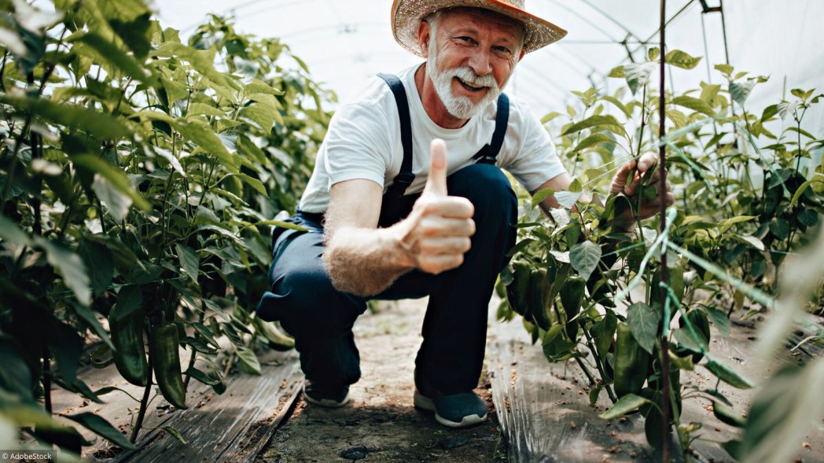 Une avancée significative pour les retraites agricoles