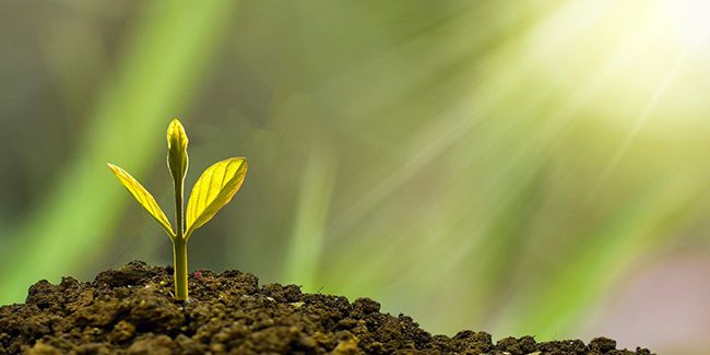 Comment fonctionne la gestion sous mandat en assurance vie ?