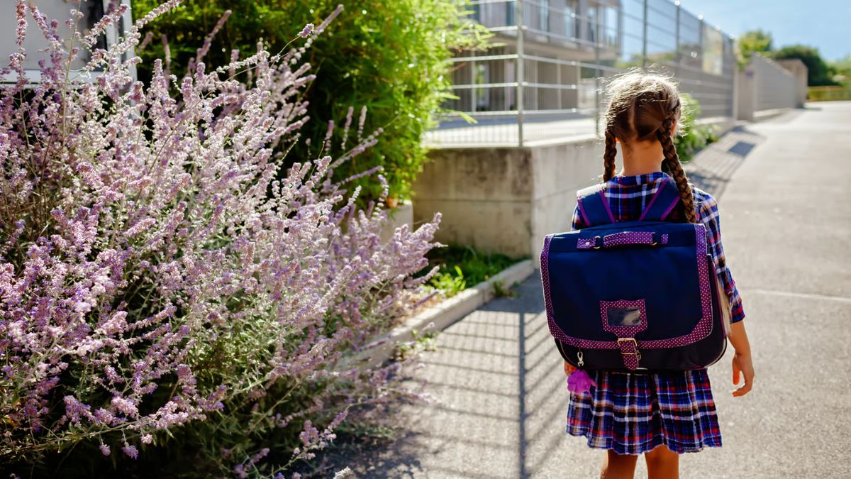 Agressions sexuelles dans un périscolaire : un stagiaire mis en cause en Savoie