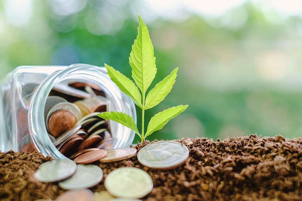 Transformez votre jardin avec une pièce de monnaie : découvrez ses pouvoirs cachés