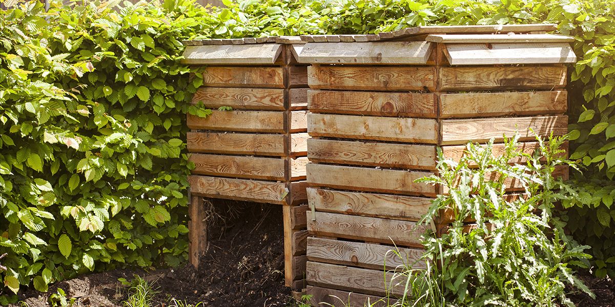 Dissimuler son composteur : astuces pour un jardin plus harmonieux