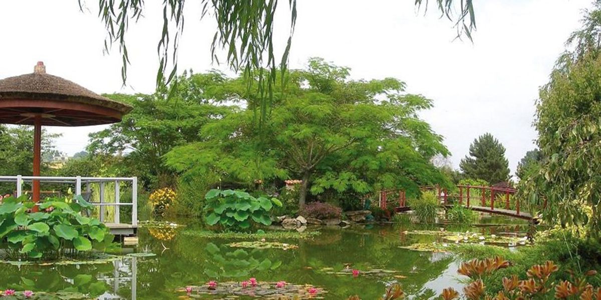 Les jardins de Beauchamp : un trésor de diversité