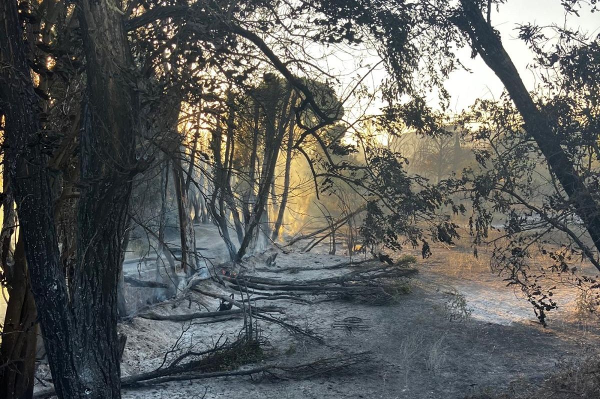 Incendie dans les Pyrénées-Orientales : plus de 10 000 évacuations et une situation sous contrôle partiel