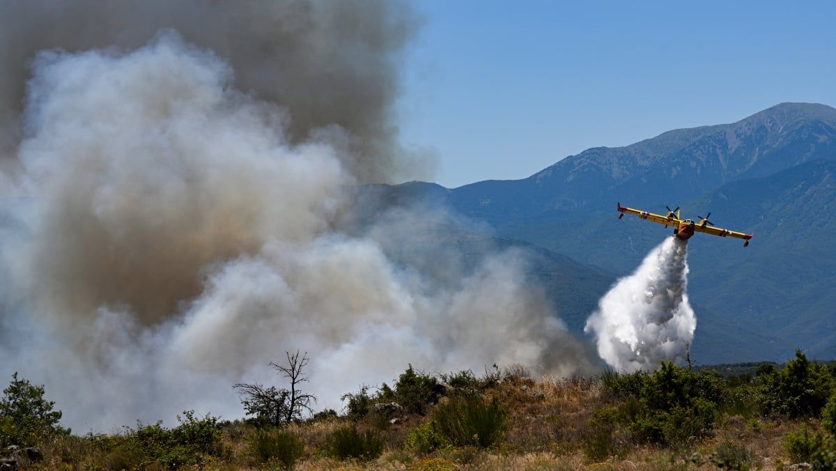 Des flammes menaçantes : un incendie ravage les Pyrénées-Orientales et force des évacuations massives