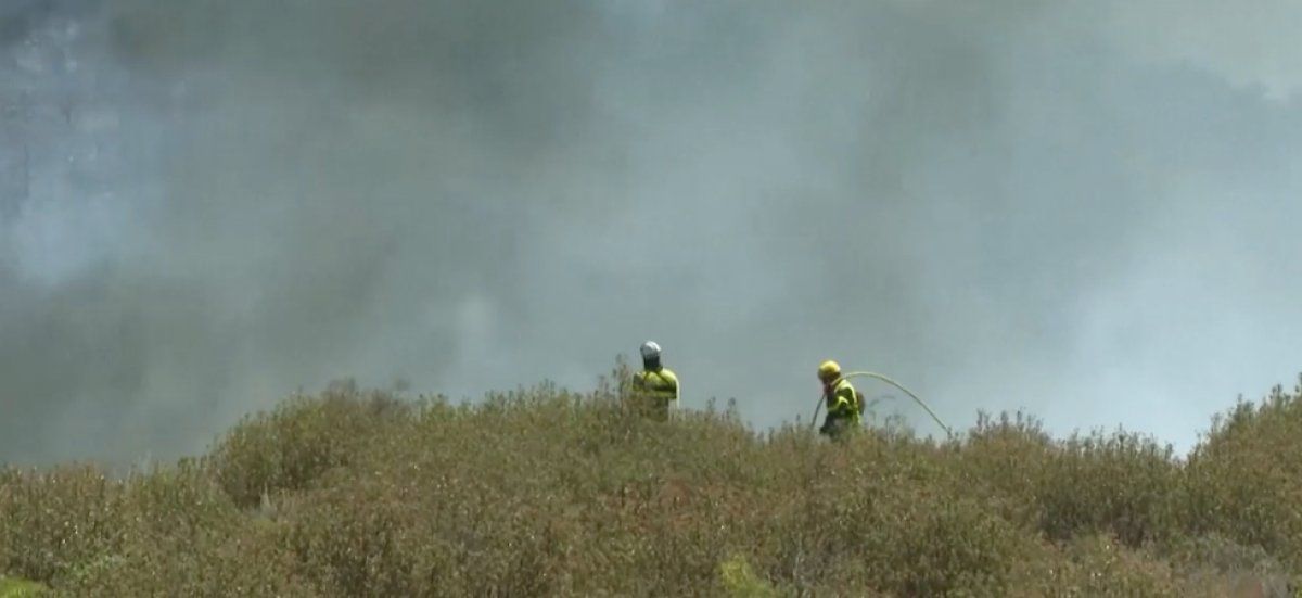 Feux de forêt dévastateurs dans le Sud : des milliers d'évacuations et des hectares en flammes