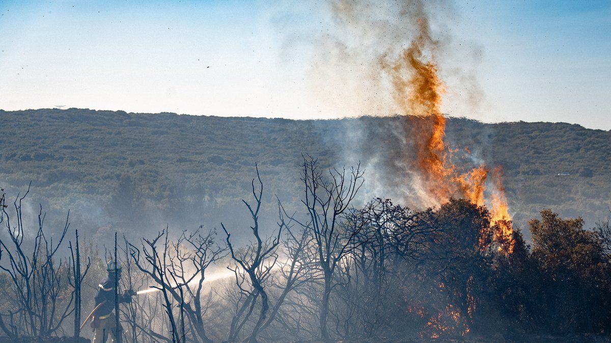 Incendies dans les Pyrénées-Orientales : la situation reste critique malgré l'absence de progression