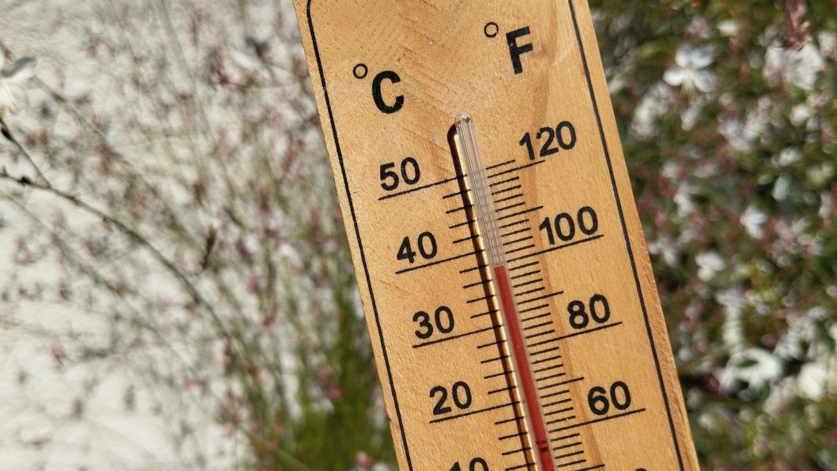 Incendies et canicule : la France sous l'alerte rouge