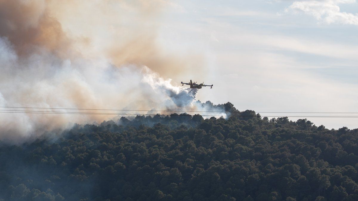 Les pompiers face aux feux de forêt : un arsenal impressionnant en action