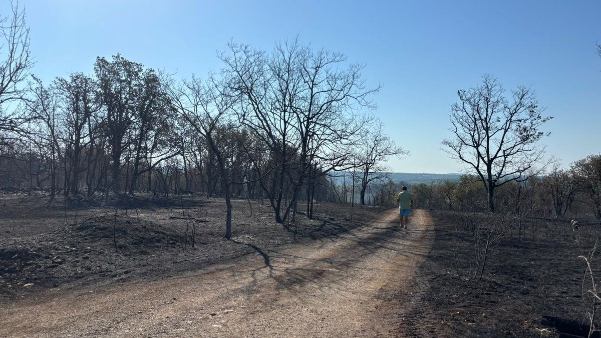 Incendie dévastateur dans le Lot : Cieurac sous l'assaut des flammes