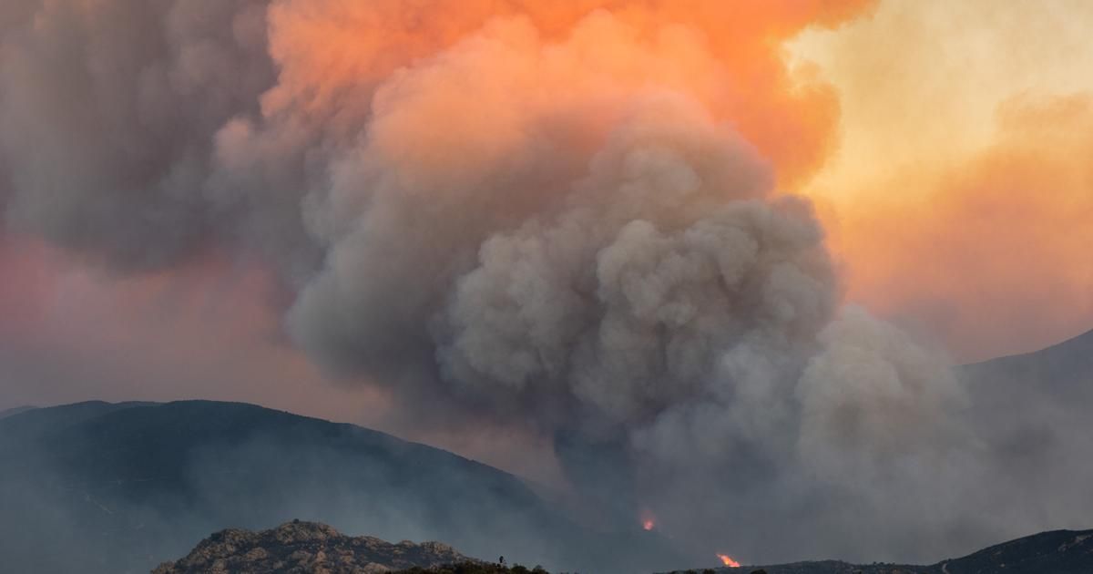 Le combat pour nos forêts : un appel à la solidarité face aux incendies
